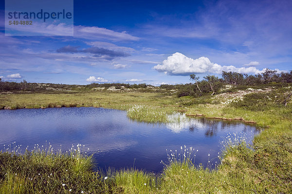 Landschaft am kleinen Rörsjön See  Nationalpark Fulufjället  Dalarna  Schweden  Skandinavien  Europa