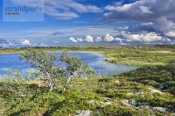 Landschaft im Nationalpark Fulufjället  Dalarna  Schweden  Skandinavien  Europa