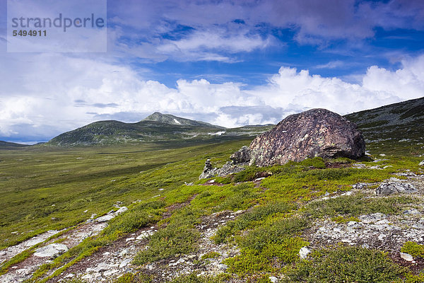Landschaft mit dem Berg Elgahogna  Femundsmarka-Nationalpark  Provinz Hedmark  Norwegen  Skandinavien  Europa