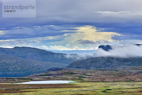 Hügelige Landschaft im Femundsmarka-Nationalpark  Provinz Hedmark  Norwegen  Skandinavien  Europa