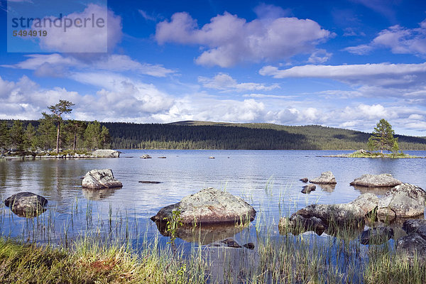 Der See Gutulisjoen  Gutulia-Nationalpark  Provinz Hedmark  Norwegen  Skandinavien  Europa