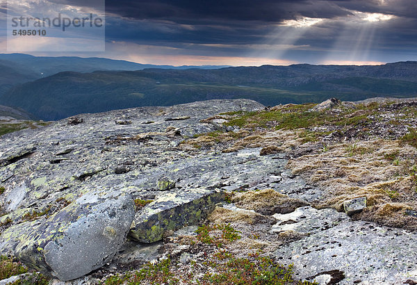 Landschaft rund um den Eldbekkskardvatnet-See  Blåfjella-Skjækerfjella-Nationalpark  Nord-Trøndelag  Trondelag  Norwegen  Skandinavien  Europa