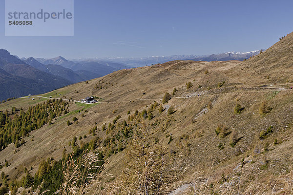 Der Berg Helm  Monte Elmo  2434 m  hinten der Birkenkofel  Croda dei Baranci  2943 m  Sextener oder Sextner Dolomiten  Italien  Europa