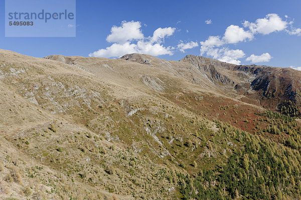 Der Berg Helm  Monte Elmo  2434 m  Sextener oder Sextner Dolomiten  Italien  Europa