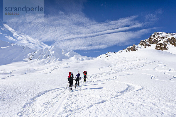 Skitourengeher beim Aufstieg zum Staudenberg Jöchl  hinten  in Ridnaun oberhalb Schneeberg  Sterzing  Südtirol  Italien  Europa