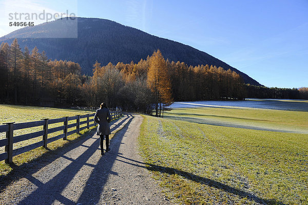 Einsamer Spaziergang einer Frau in Herbstlandschaft am Mieminger Plateau  Tirol  Österreich  Europa