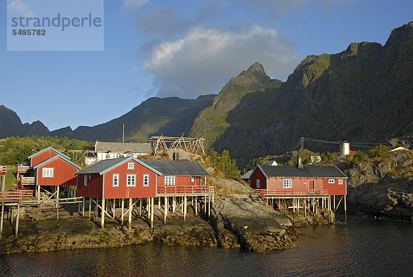 Europa Küste Meer Norwegen Moskenes Moskenesoy nordland