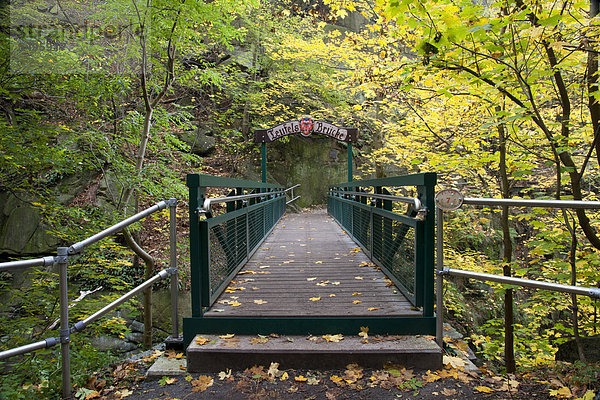 Teufelsbrücke am Goetheweg  Naturschutzgebiet Bodetal  Thale  Harz  Sachsen-Anhalt  Deutschland  Europa  ÖffentlicherGrund