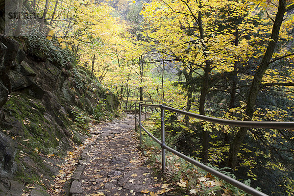 Goetheweg im Naturschutzgebiet Bodetal  Thale  Harz  Sachsen-Anhalt  Deutschland  Europa  ÖffentlicherGrund