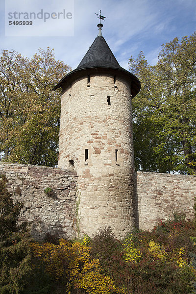 Stadtmauer  Wernigerode  Harz  Sachsen-Anhalt  Deutschland  Europa  ÖffentlicherGrund