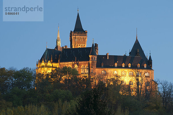 Das beleuchtete Schloss zur blauen Stunde  Wernigerode  Harz  Sachsen-Anhalt  Deutschland  Europa  ÖffentlicherGrund