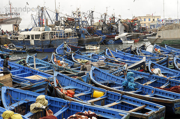 Kleine blaue Fischerboote und Fischkutter im Fischerhafen von Essaouira  Atlantikküste  Marokko  Nordafrika  Afrika
