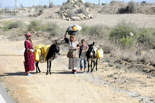 Marokkanische Familie mit Eseln unterwegs bei Essaouira  Marokko  Nordafrika  Afrika