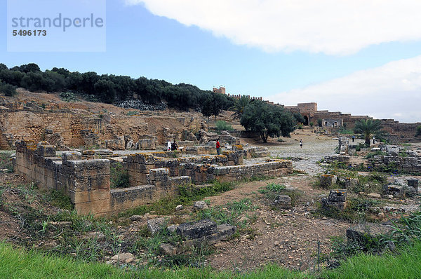 Meriniden-Nekropole Chellah  mit römisch-byzantinischen Ruinen  Marokko  Nordafrika  Afrika