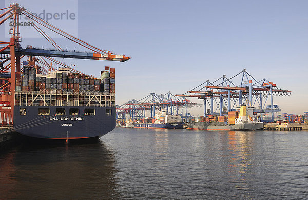 Containerschiffe im Hamburger Hafen  Hamburg  Deutschland  Europa