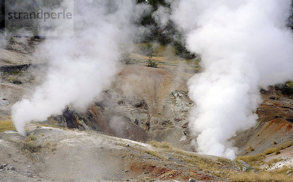 Fumarole  die heißesten Quellen der Welt  im Norris Geyser Basin  Geysire  geothermische Quellen  Yellowstone Nationalpark  Wyoming  Vereinigte Staaten von Amerika  USA