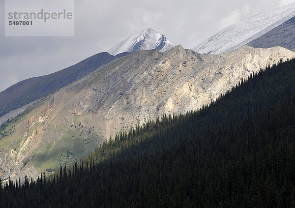 Schneebedeckter Samson Peak  auch Shipwreck Mountain  Maligne Valley  Jasper Nationalpark  Canadian Rocky Mountains  Alberta  Kanada