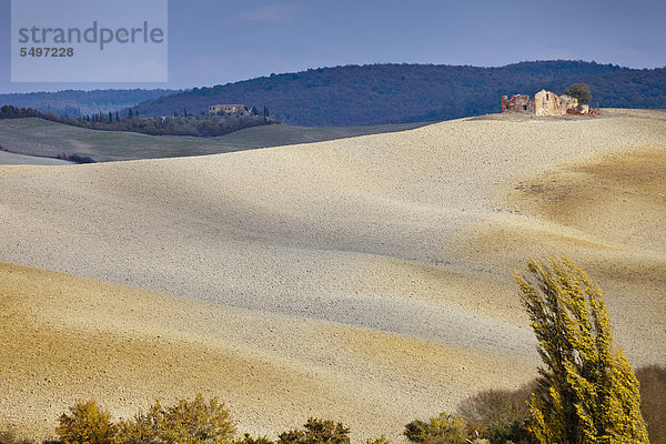 Felder oberhalb von Pienza in der Nähe von Torrita di Siena im Herbst  Toskana  Italien  Europa