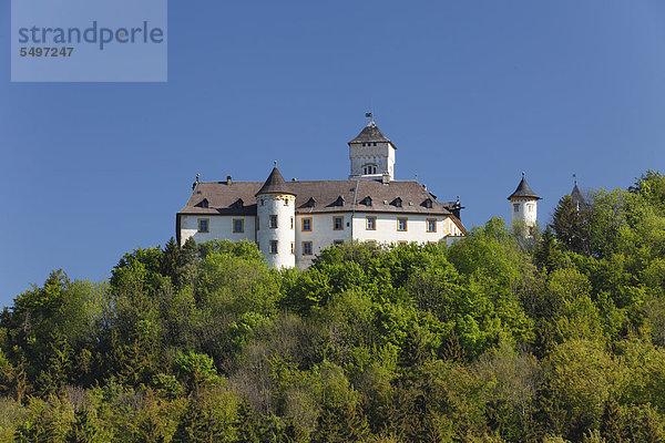 Schloss Greifenstein  Heiligenstadt  Fränkische Schweiz  Oberfranken  Franken  Bayern  Deutschland  Europa  ÖffentlicherGrund