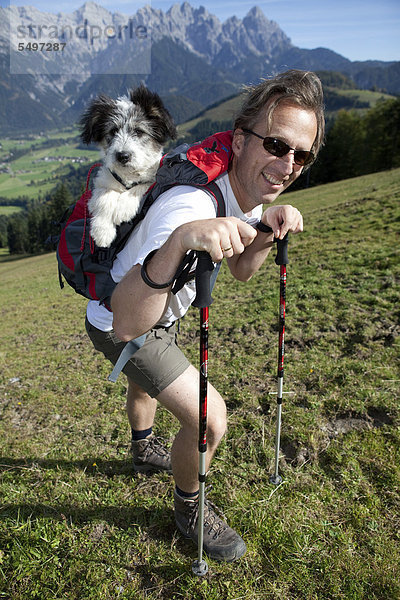 Ein Wanderer trägt seinen Hund  der noch zu klein ist um weite Strecken zu laufen  in seinem Rucksack  auf dem Anstieg zur Buchensteinwand  St. Jakob  Tirol  Österreich  Europa