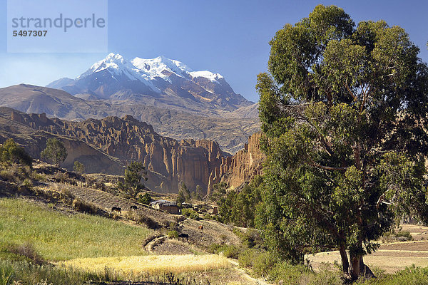 Palca Canyon mit Berg Illimani  Altiplano der Hochanden  bei La Paz  Bolivien  Südamerika