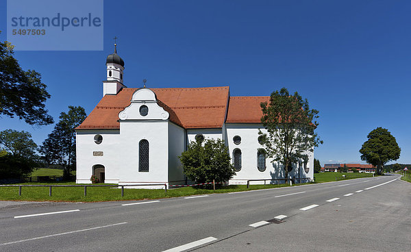 Wallfahrtskirche Mariä Heimsuchung  Ilgen  Gemeinde Steingaden  Oberbayern  Bayern  Deutschland  Europa  ÖffentlicherGrund