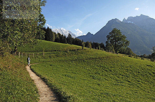 Wanderweg  der Soleleitungsweg mit Wanderer oberhalb von Ramsau mit Blick auf die Berge  rechts die Westwand vom Watzmann  Oberbayern  Deutschland  Europa