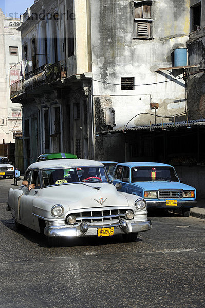 Havanna Hauptstadt Amerika Auto weiß Retro Taxi Karibik Mittelamerika fünfziger Jahre 50er Golf von Mexiko Kuba Große Antillen Innenstadt