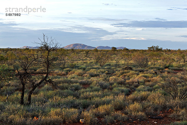 Western Australia