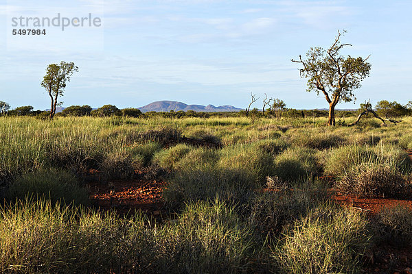 Landschaft im australischen Outback  Pilbara  Western Australia  Australien