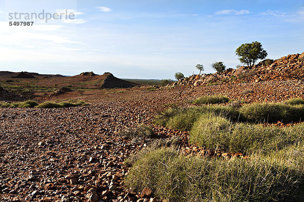 Landschaft im australischen Outback  Pilbara  Western Australia  Australien
