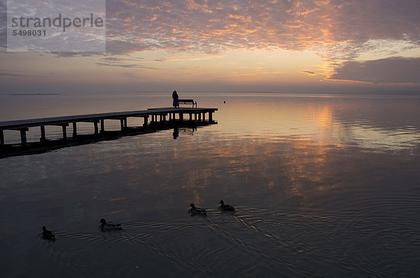 Steg im Neusiedlersee nach Sonnenuntergang  Steppensee  panonnisches Klima  Nationalpark Neusiedlersee  Burgenland  Österreich  Europa