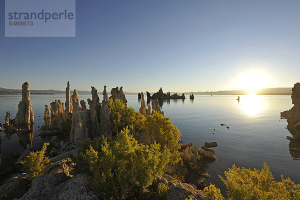 Morgendämmerung  Sonnenaufgang  Tufa Rocks  Kalktuff  Tuff  Gesteinsformationen  South Tufa Area  Natronsee Mono Lake  Mono Basin and Range Region  Sierra Nevada  Kalifornien  Vereinigte Staaten von Amerika  USA