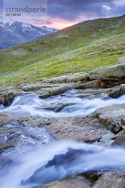 Gebirgsbach im Blakkadal-Tal  Saltfjellet-Svartisen-Nationalpark  Provinz Nordland  Norwegen  Skandinavien  Europa