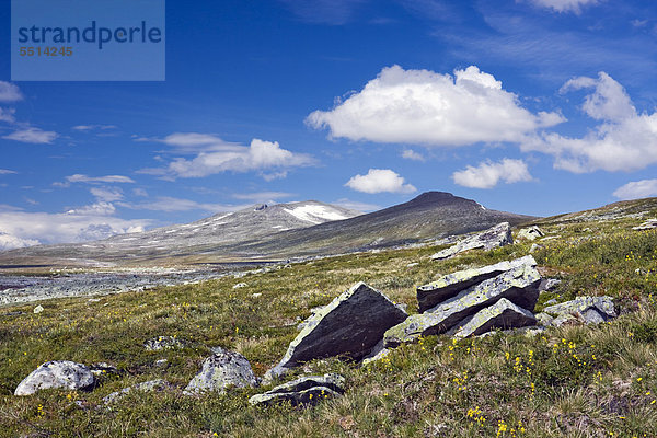 Das Tal des Bachs Namnlauselva  Saltfjellet-Svartisen-Nationalpark  Provinz Nordland  Norwegen  Skandinavien  Europa