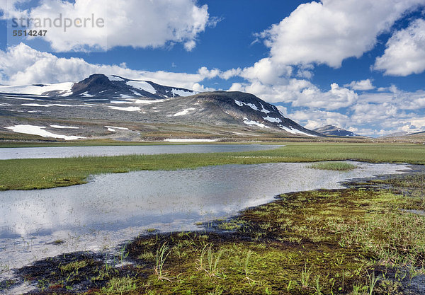 Der Bach Namnlauselva  Saltfjellet-Svartisen-Nationalpark  Provinz Nordland  Norwegen  Skandinavien  Europa