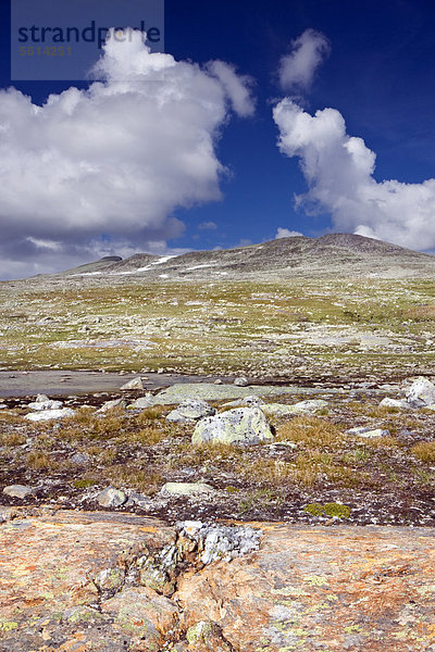 Das Tal des Bachs Namnlauselva  Saltfjellet-Svartisen-Nationalpark  Provinz Nordland  Norwegen  Skandinavien  Europa