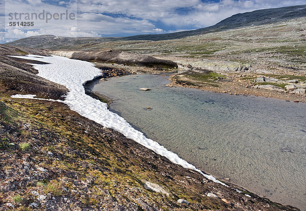 Der Bach Namnlauselva  Saltfjellet-Svartisen-Nationalpark  Provinz Nordland  Norwegen  Skandinavien  Europa