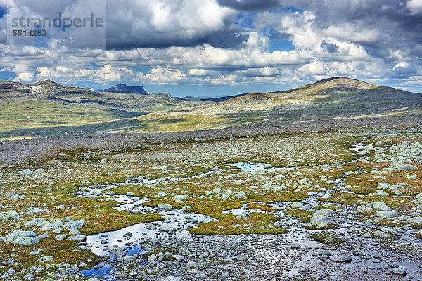 Das Tal Steindalen  Saltfjellet-Svartisen-Nationalpark  Provinz Nordland  Norwegen  Skandinavien  Europa