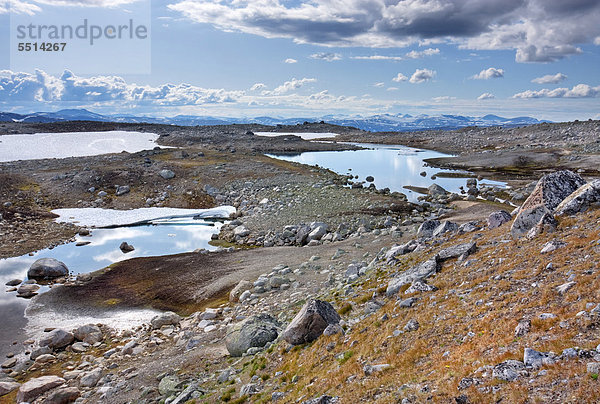 Haff in der Nähe des Sees Lonstindvatnet  Saltfjellet-Svartisen-Nationalpark  Provinz Nordland  Norwegen  Skandinavien  Europa