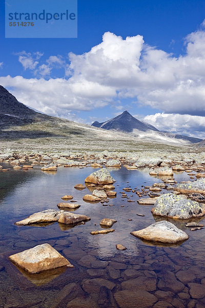 Gipfel des ÿrfjellet  Orfjellet  ÿlfjellet oder Olfjellet  Saltfjellet-Svartisen Nationalpark  Nordland  Norwegen  Skandinavien  Europa