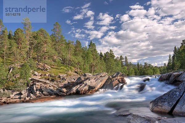 L¯nselva  Lonselva Fluss  Nordland  Norwegen  Skandinavien  Europa
