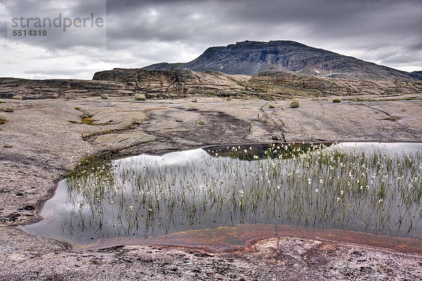 Lagune mit dem Gipfel des Sn¯toppen  Snotoppen  Rago-Nationalpark  Nordland  Norwegen  Skandinavien  Europa