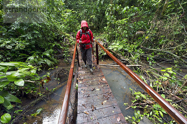 überqueren  Wald  Brücke  Regen  wandern  Mittelamerika  Costa Rica
