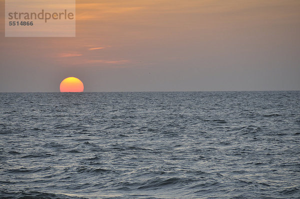 Sonnenuntergang über dem Meer  Negombo  Sri Lanka  Asien  ÖffentlicherGrund