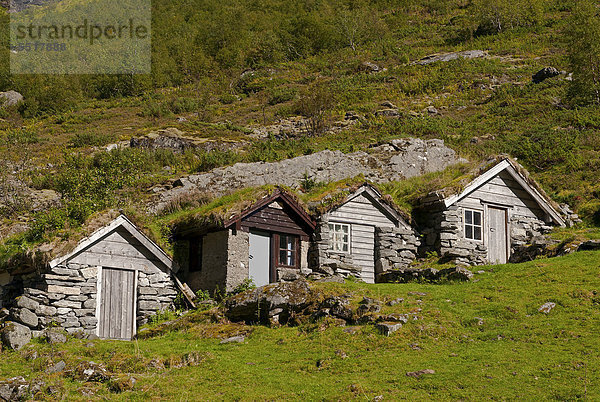 Dach Hütte Europa klein grün Tal Norwegen Gras