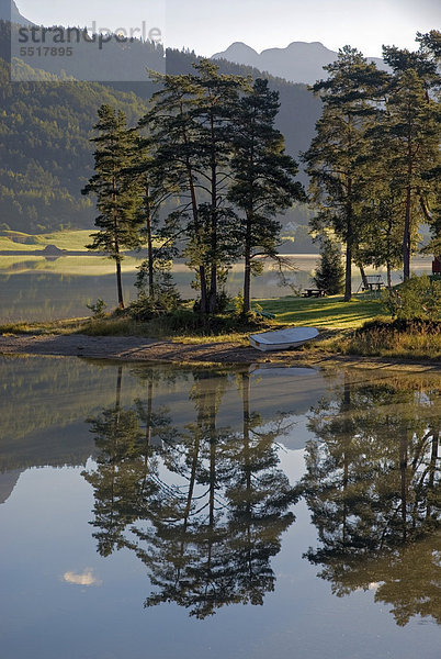 Bäume am Ufer des Sees Strynevatnet spiegeln sich im ruhigen Wasser  Storesunde  Provinz Sogn og Fjordane  Norwegen  Europa