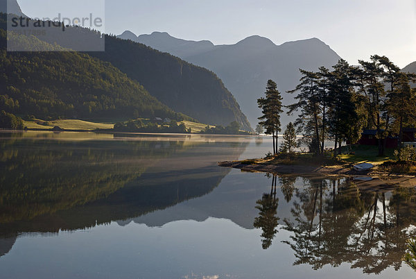 Bäume am Ufer des Sees Strynevatnet spiegeln sich im ruhigen Wasser  Storesunde  Provinz Sogn og Fjordane  Norwegen  Europa