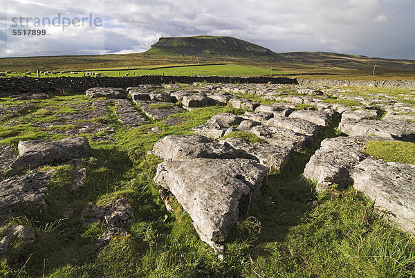 Kalksteinblöcke  hinten der Pen-Y-Ghent Hügel  Yorkshire Dales  England  Großbritannien  Europa