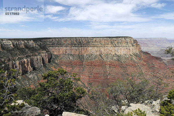 South Rim  Blick in den Grand Canyon  Arizona  USA  Nordamerika